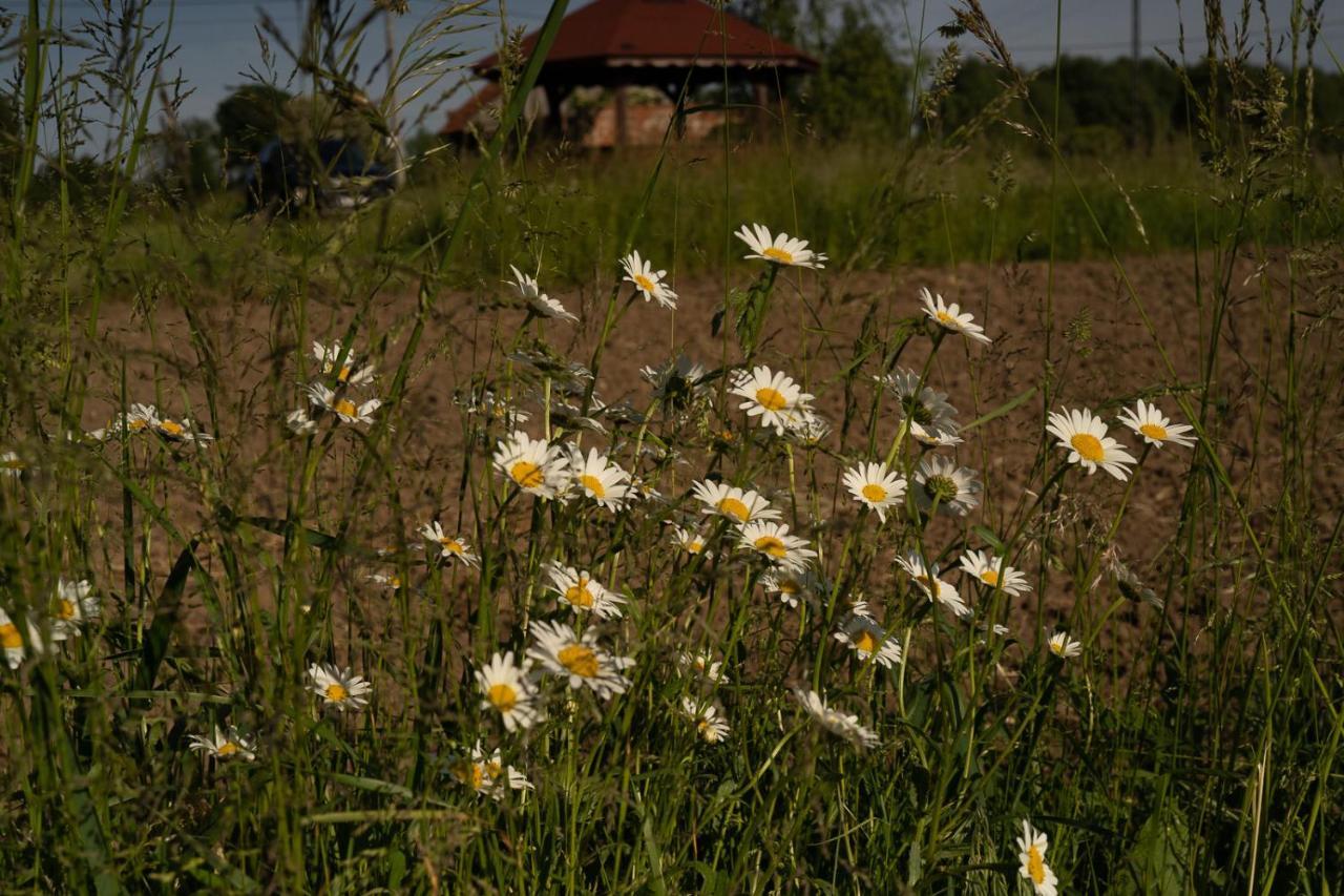 Villa Rustykalne Klimaty Majdan Zbydniowski Exterior foto
